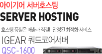 아이기어 서버호스팅